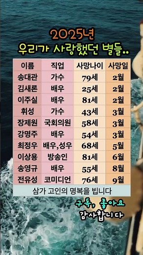 2025년, 우리가 사랑했던 별들... (유명인 추모)