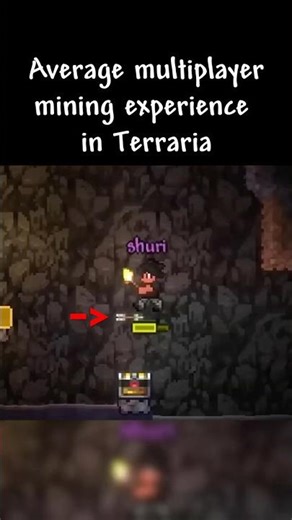 Average Multiplayer Mining Experience in Terraria...