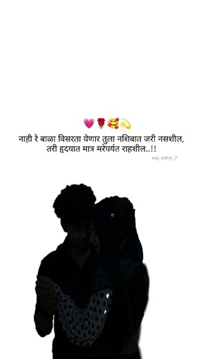 नाही रे बाळा विसरता येणार तुला नशिबात जरी नसशील...