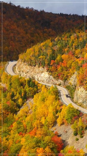 Majestic colours. Crisp, clean air. Autumn is the perfect time to fall in love with Cape Breton Island. | Cape Breton Island
