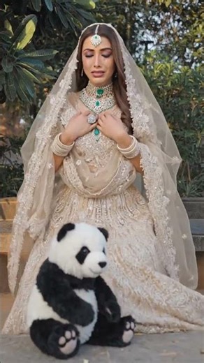 panda getting attached #panda lover