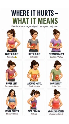 Where Does Your Stomach Hurt? What It Could Mean! 🚨