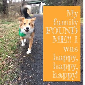 1.3K views · 48 reactions | The story behind Fetching Apparel and why we help homeless pets. This month, our FREE SHIPPING code is: FREETOLIVE in support of Free to Live Animal Sanctuary. We donate 40% of profits to animal rescues!! Free To Live Animal Sanctuary Kay Stewart | Fetching Apparel | Facebook