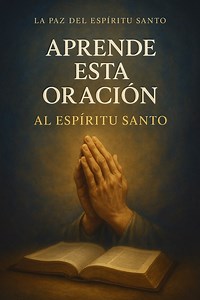 1.4M views · 72K reactions | ️ ¿Quieres aprender a invocar al Espíritu Santo de forma profunda y transformadora? #cristo #bibliasagrada #catolicos #papafrancisco #santidad #catolicismo #iglesia #iglesiacatolica #catolicosdelmundo #evangelizar #católica #catolicosoy #catolicosporamor #jovenescatolicos #fecatolica #juventudcatolica | P Melson Andres Correa | Facebook