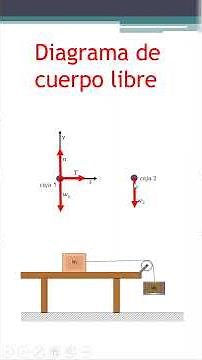 HOW TO MAKE A FREE BODY DIAGRAM?