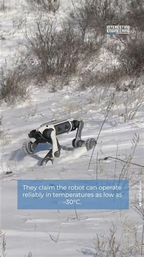 Deep Robotics’ Lynx M20 Extreme Cold Snowfield