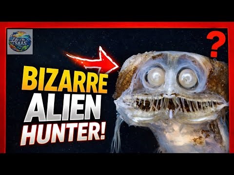 Alien Eyes in the Deep Ocean 👀 | The Telescope Fish Explained #alien #fish #sea #ocean