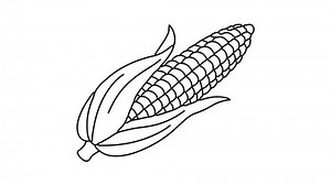 Corn line animation 4k video.