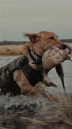 Before We Give It Away, We Put It to Work