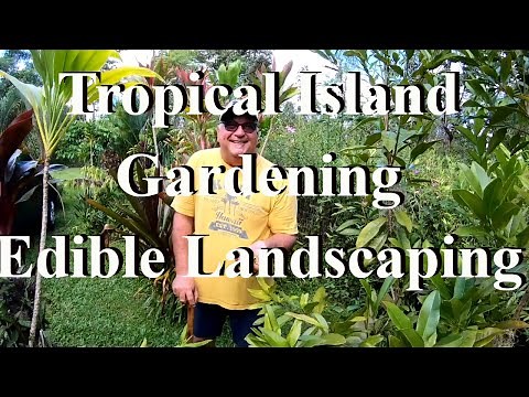 Hawaiian Tropical Gardening, Edible Landscaping Master Class - Native Hawaiian Plants tour.