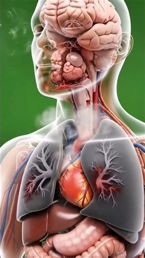 3D Character Animation Study | Realistic Body Mechanics & Acting🤯🤯 #healtheducation #humanbody