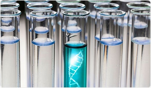 Applications of Yeast Two-Hybrid Screening