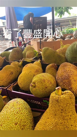 布里斯本-越南村採買 Inala market, Brisbane