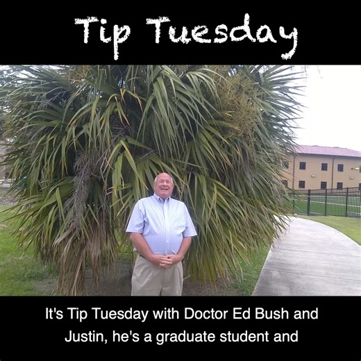 9.1K views · 87 reactions | It's time to prune your palm trees. Learn how to properly prune with LSU AgCenter horticulturist Ed Bush and former graduate student Justin! | LSU AgCenter | Facebook
