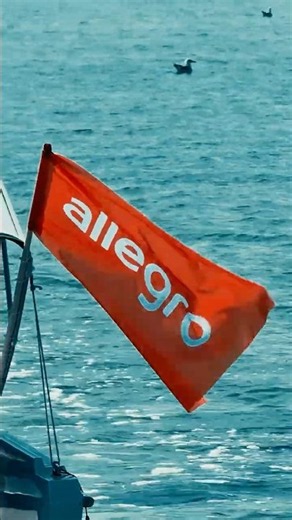 Allegro x Defender Salt Wave Festival