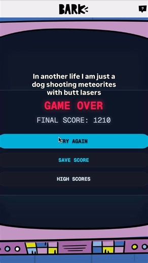 8.3K views | There's more to your dog than just zoomies and begging...