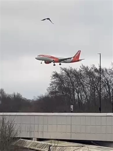 easyjet flight 2237 airbus a320 landing into newcastle airport @easyjet