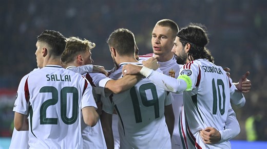 Magyarország–Írország | labdarúgás | vb-selejtező