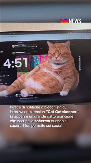 L’app che blocca lo scrolling con un gatto gigante sullo schermo