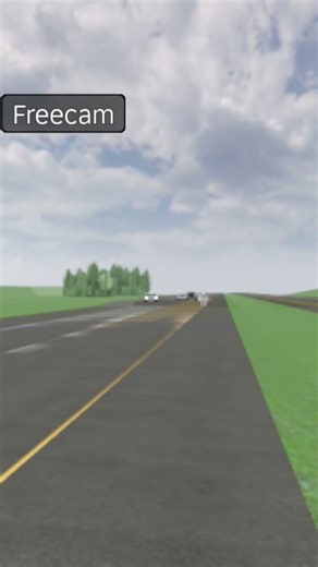 What did bro do ?? #roblox #crash #car