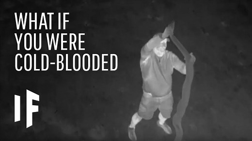 Cold-Blooded Humans: What If We Evolved Like Reptiles?