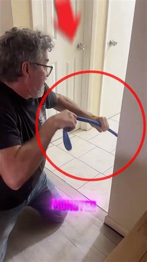 Tiniest Dog You Are Ever Seen...