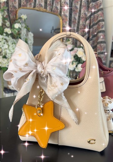 Bag Styling Hacks & Tutorials | Coach Bag Love