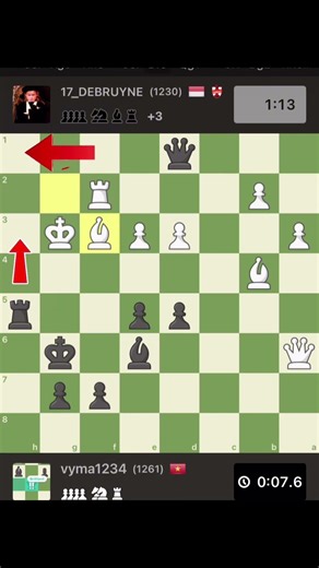 Đen mất 30 giây nghĩ nước chiếu hết trong cờ vua