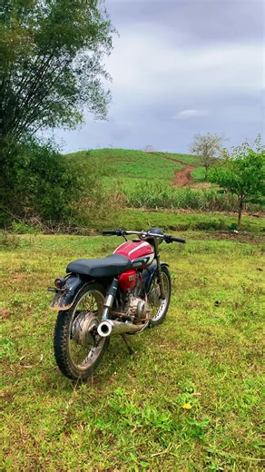 Exploring Low Rise Handlebars for Motorcycles