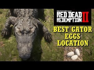 Red Dead Redemption 2 Best Gator Eggs Location