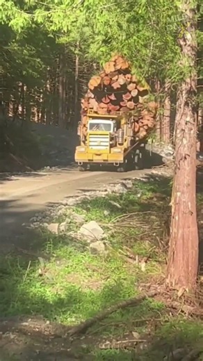 How Much Can This Giant Truck Really Carry? 🤯🚛