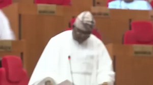 SENATOR SOLOMON ADEOLA REMARKS ON AMCON NOMINATION AND FUTURE DIRECTIONS Mr. President, Let me begin by commending the chairman of this committee for a job well done in screening the sixth nominee of the President for confirmation as the Part-Time Chairman and Non-Executive Director of the Asset Management Corporation of Nigeria (AMCON). I strongly believe this is a step in the right direction. With the expiration of the tenure of the former chairman and directors, it is only right and proper th