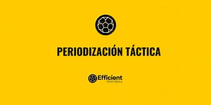 ?‍?⚽Periodización táctica: como diseñar un morfociclo patrón en fútbol - Efficientfootball