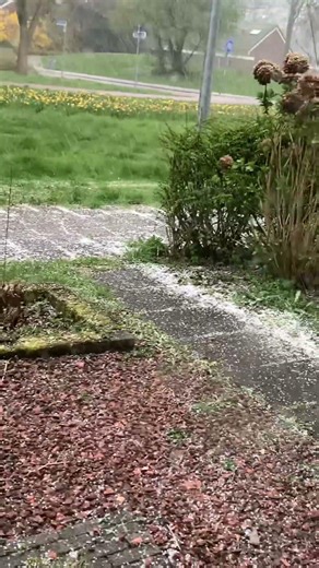 Nederland weather #youtubeshorts