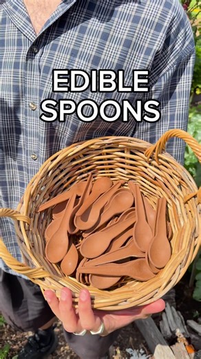 The True Story Behind the Return of Edible Spoons