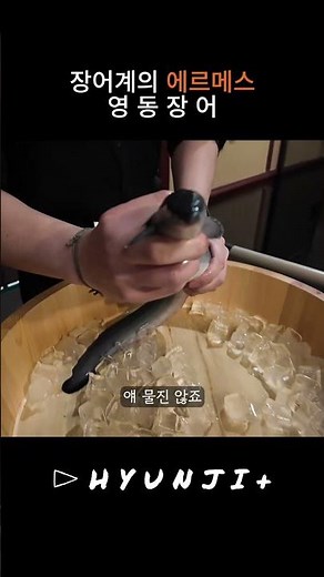 [HYUNJI+ Vlog] EP.04 장어계의 에르메스! ‘영동장어’ 다녀왔습니다.(Feat.장어쓸개주&독도새우) #영동장어 #장어 #갯벌장어 #먹방 #먹방투어 #압구정