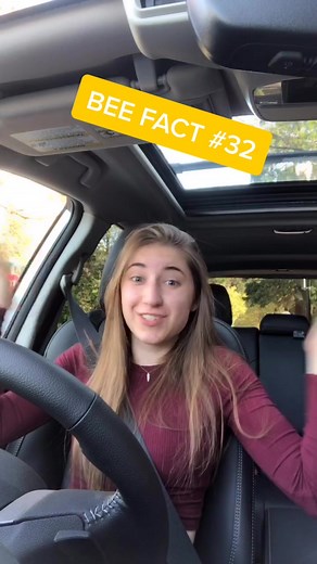 Exploring Ancient Honey: Would You Try 2,000 Year Old Honey?