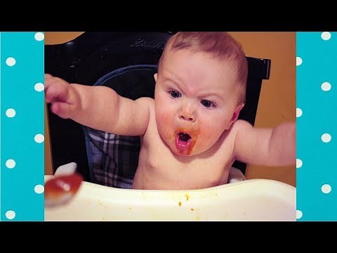 Try Not To Laugh: Funny Babies Hungry | Funny Everyday Compilation