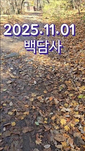 ㅡ백담사ㅡ 오전에 설악산영시암 쪽으로 잠시 다녀왔어요.백담사 계곡따라 단풍구경~ 엄청 많은 단풍은 없었어요#백담사#인제#설악산백담사#단풍#shorts#강원도#Seoraksan