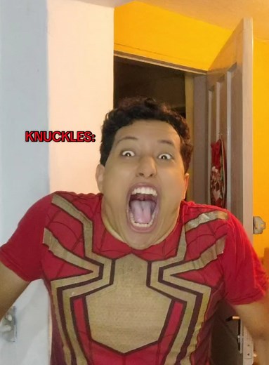 Sonic Beijando Elise: Os Personagens em Destaque