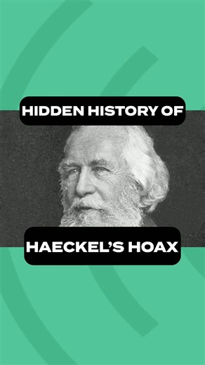 ✏️ Ernst Haeckel, a German Zoologist, is famous for developing a series of images of embryos in development called Anthropogenie. These images, supposedly proof of evolution, dominated culture and textbooks for some time, even after it was proven that the drawings were intentionally misleading. Watch the full episode to learn more! https://youtu.be/uOos-cpgauA?si=DvVWJIxAxuWPW2Ho #TheCreationPodcast #biology #embryology | Institute for Creation Research (ICR)