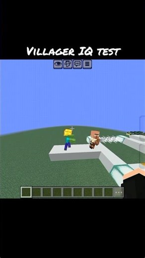 Villager IQ test in Minecraft 🔥💯🤯