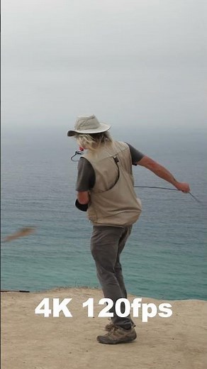 The Canon EOS C50 Just Changed the Game 🎬