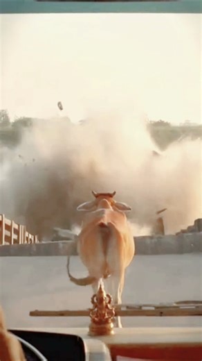 Cow Stops Bus – Bridge Collapse Rescue #trending #travel#cow#save#animated (AI Video