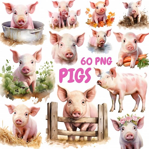 Watercolor Pigs Clipart Bundle, Farm Animals Clipart, Pig Illustrations, Transparent PNG Graphics, Commercial Use - Etsy