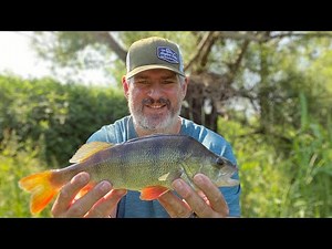Spinning for perch