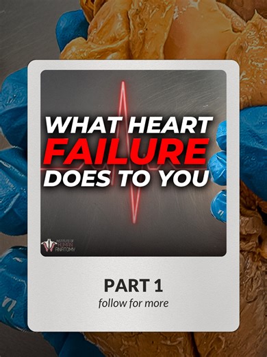 Heart failure doesn't mean the heart stops — it means it's slowly losing the battle to keep up. 🫀 The heart has two distinct sides doing two very different jobs. The right side collects deoxygenated blood from the entire body and sends it to the lungs. The left side receives freshly oxygenated blood and pumps it out to every cell in the body — which is why the left ventricle's walls are dramatically thicker than the right's. It's working against far greater resistance. When either side weakens