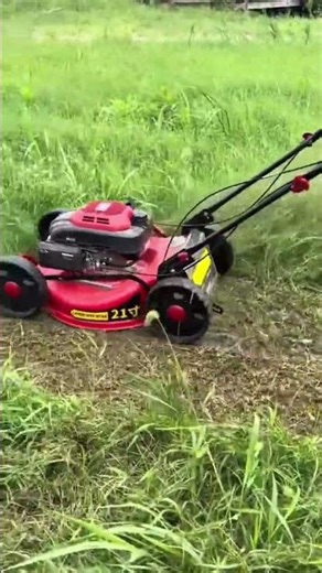 mowing the long green grass in the field with a red lawn mower machine to keep the area organized