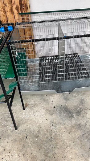 Cusca pentru masculi! Cusca pentru 2iepuroi 2400lei #hranitori #hicoli #puisori #moldova #casafermierului #panon #iepurasi | Casa Fermierului