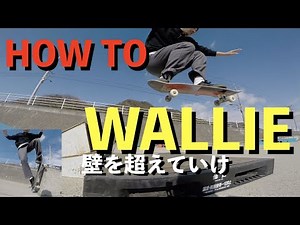 【 HOW TO 】WALLIE ウォーリー教えてもらいました！